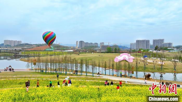 湖北宜昌卷橋河濕地公園內(nèi)，市民相伴享受都市里的田園之樂 周星亮 攝