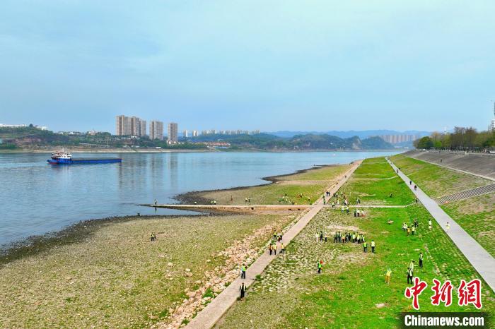 在宜昌城區(qū)長江岸畔，市民化身“護江使者”沿江而行 周星亮 攝