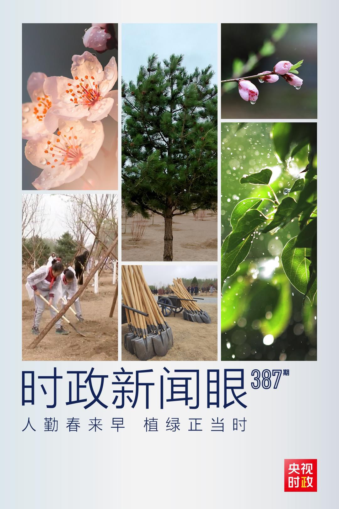 在今年首都義務(wù)植樹現(xiàn)場，習(xí)近平這三句話飽含深意